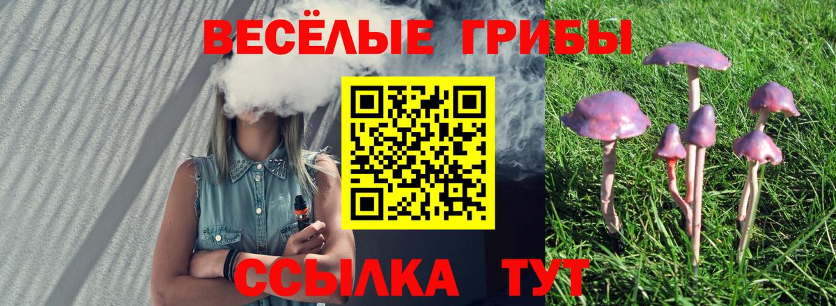 Мариинск  Псилоцибиновые грибы Magic Shrooms  Вход с VPN 