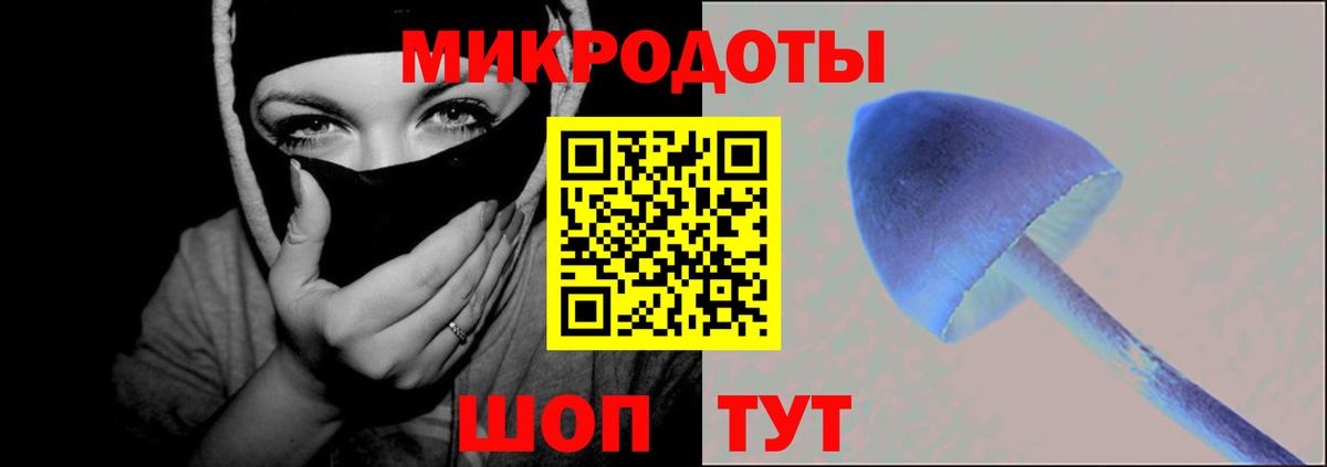 Псилоцибиновые грибы GOLDEN TEACHER Мариинск